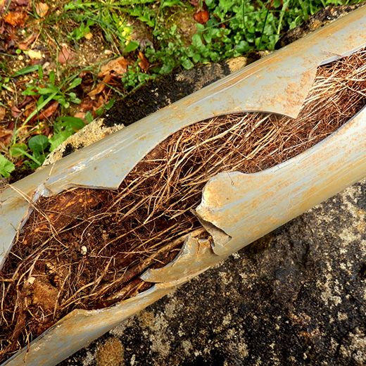 The Drain & Sewer Professionals In Klemzig